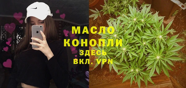 мяу мяу мука Аркадак
