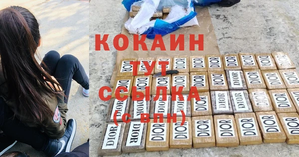 мяу мяу мука Аркадак