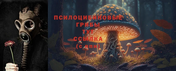 МДМА Арсеньев