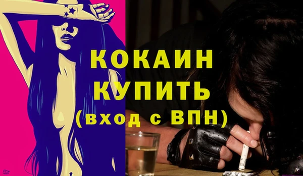 мяу мяу мука Аркадак