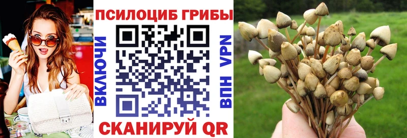 Галлюциногенные грибы Magic Shrooms  Лыткарино 